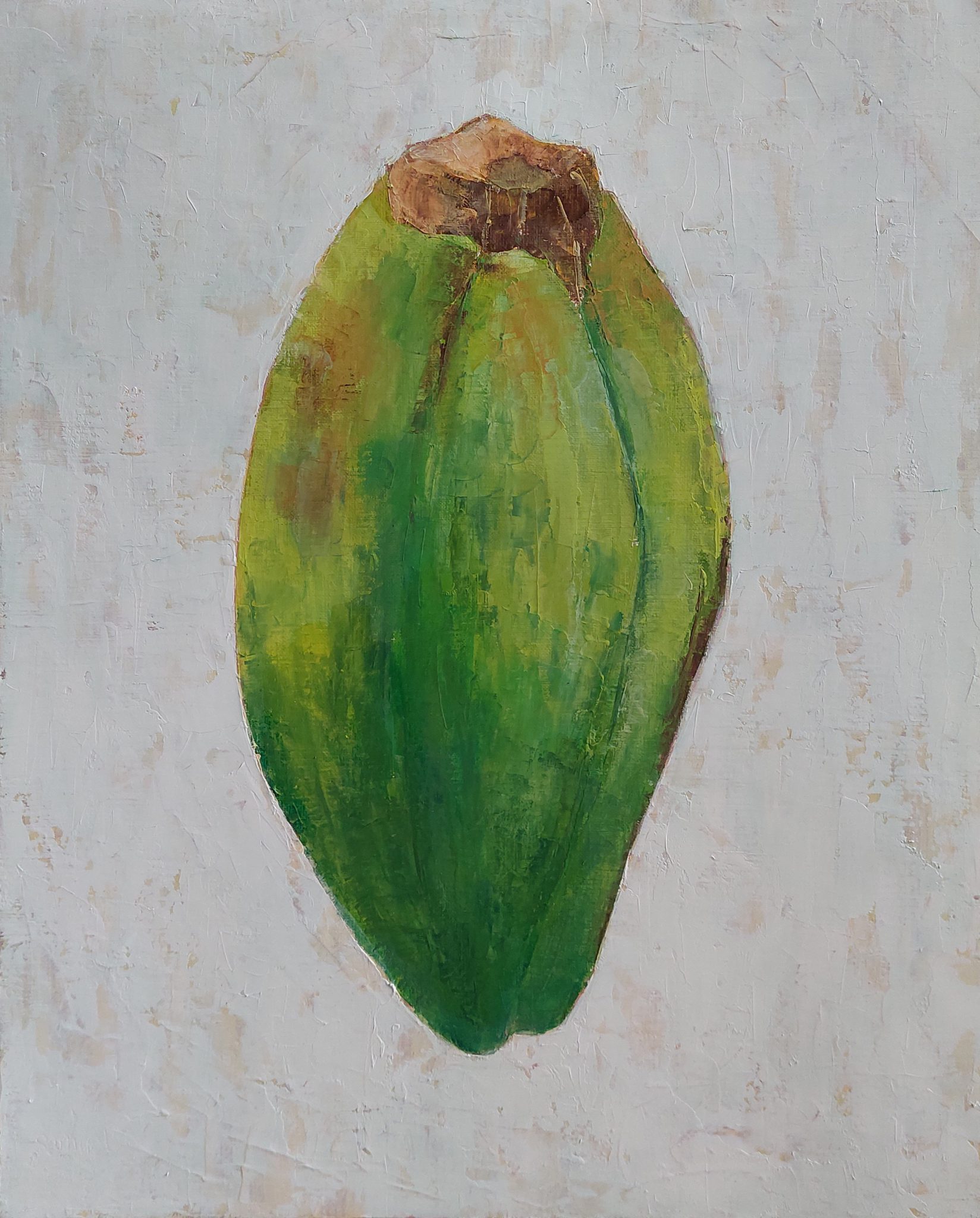 natura-rerum-coco-epicarpe