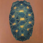 Carapace par SAMUEL
