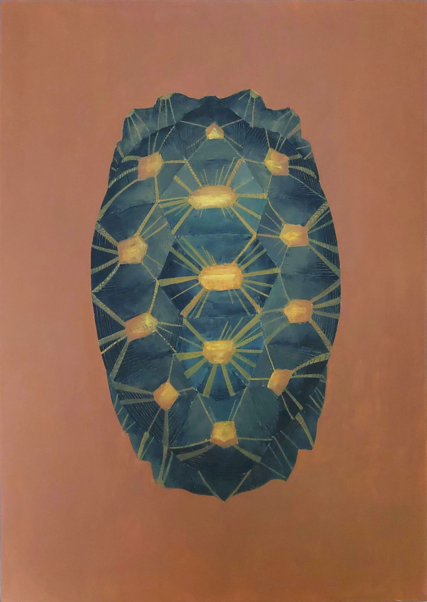 carapace-2