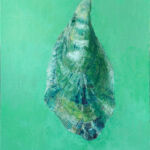 Coquille par SAMUEL