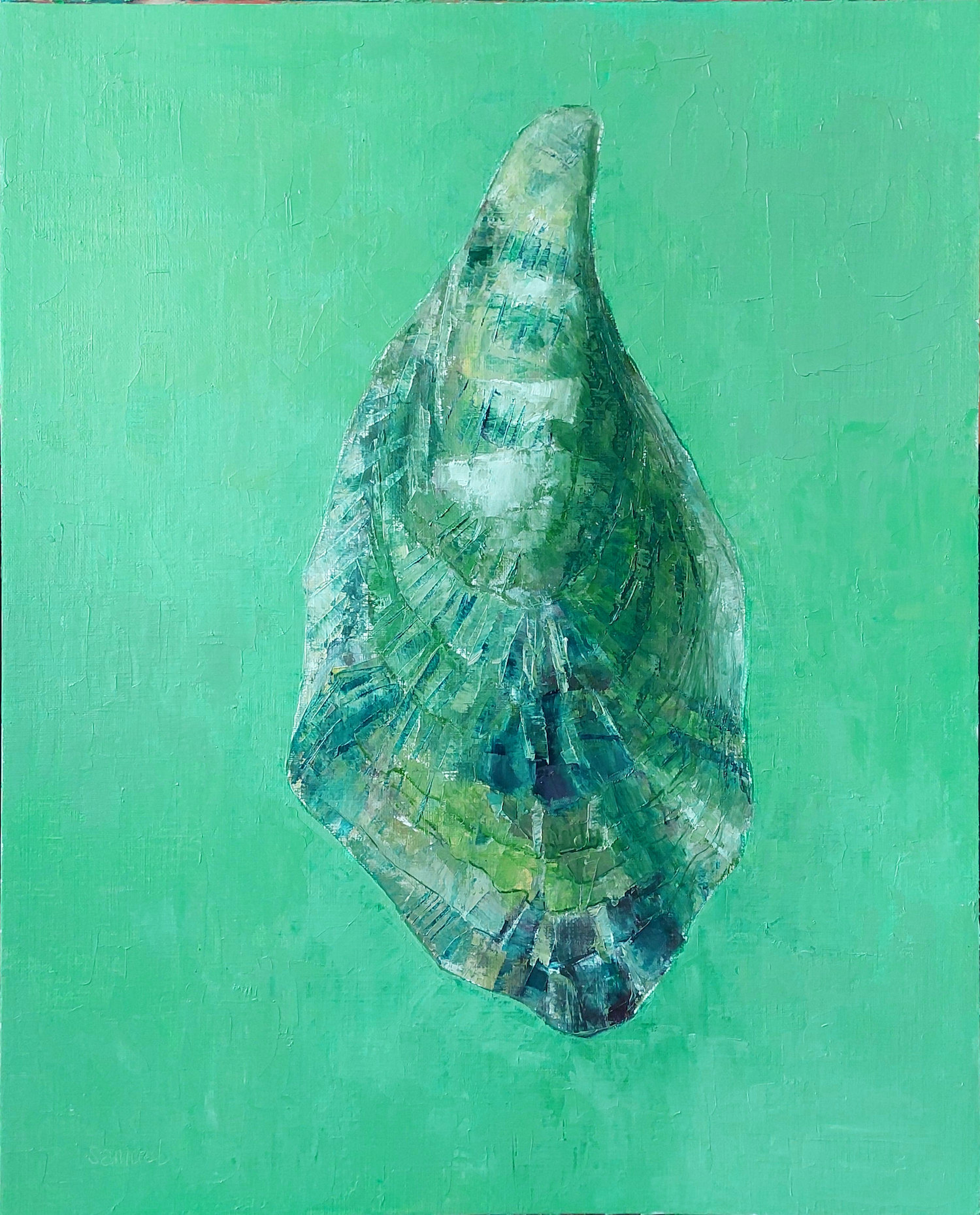 coquille-3