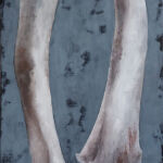 Duo d\'os par SAMUEL