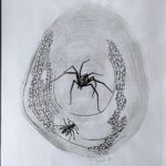 L\'araignée et sa proie