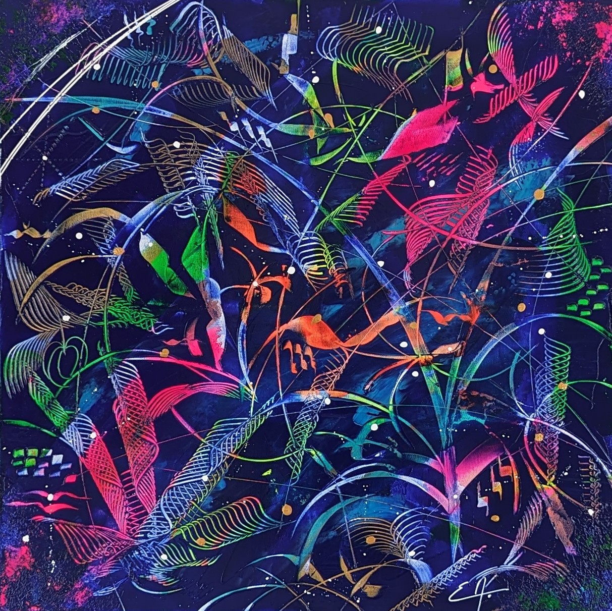 202412-colibri-70x70