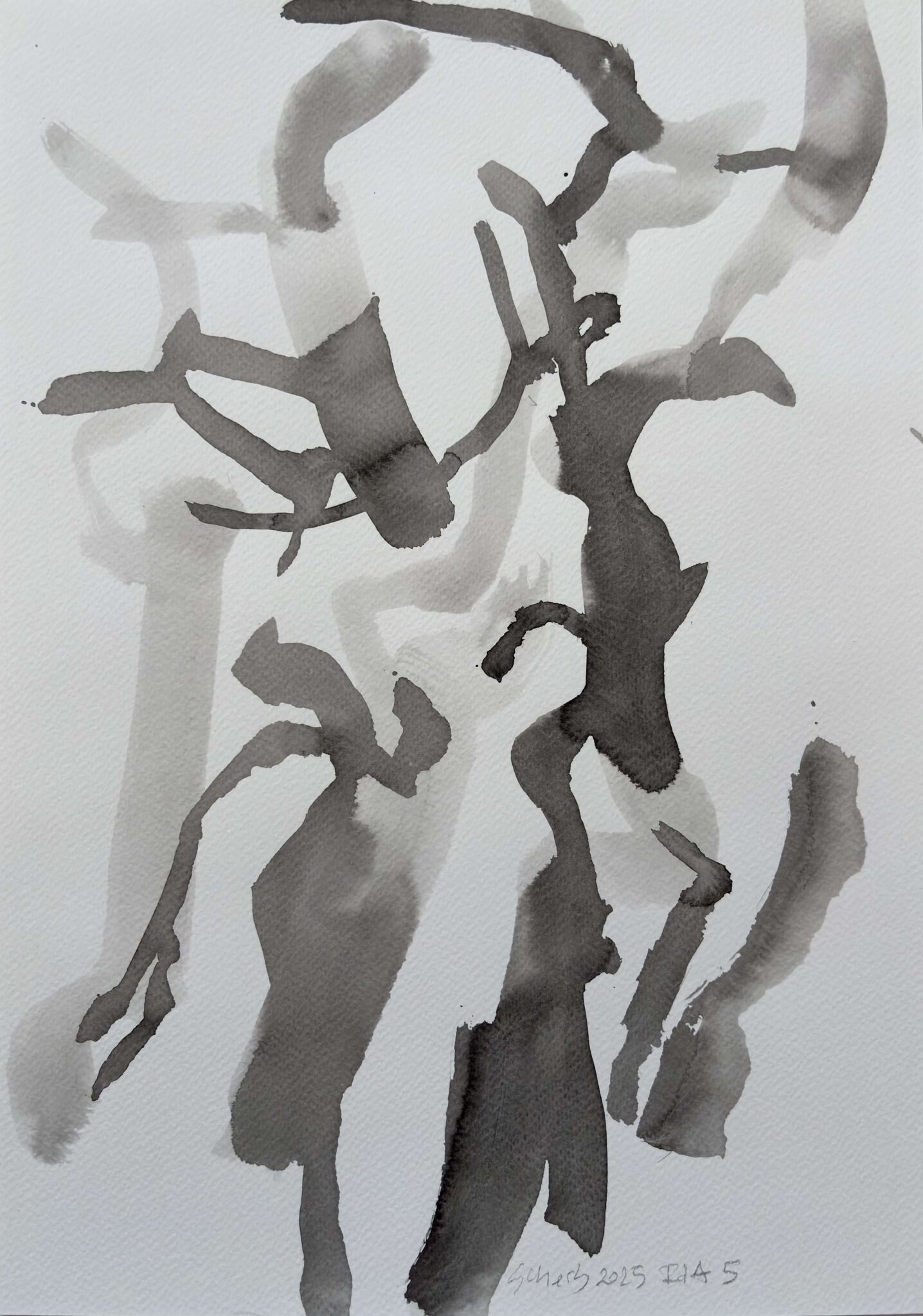 sans-titre-ile-daix-2
