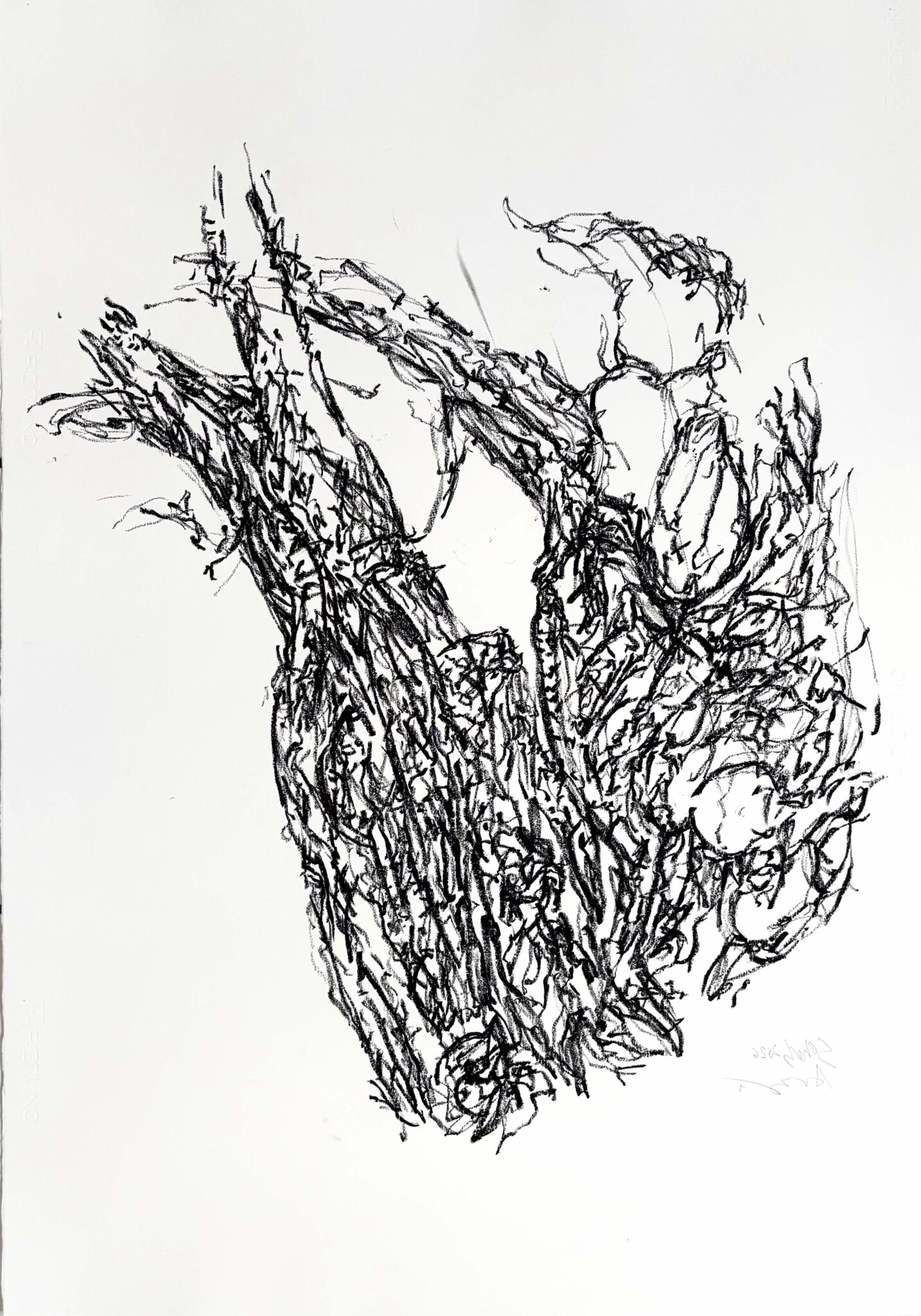 etre-traverse-5