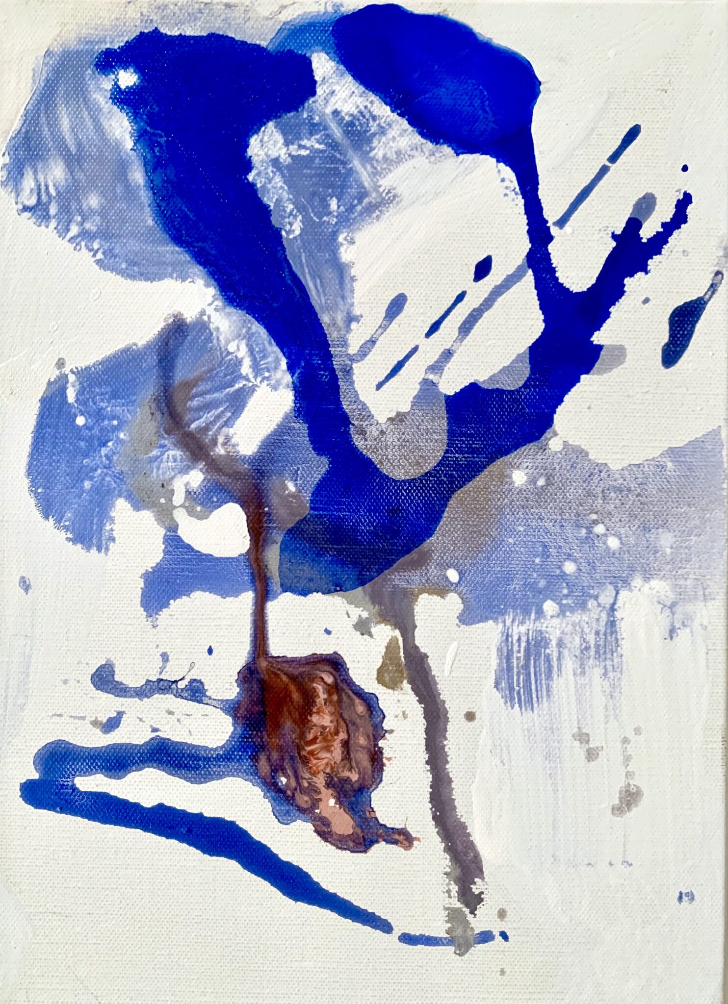 signe-1