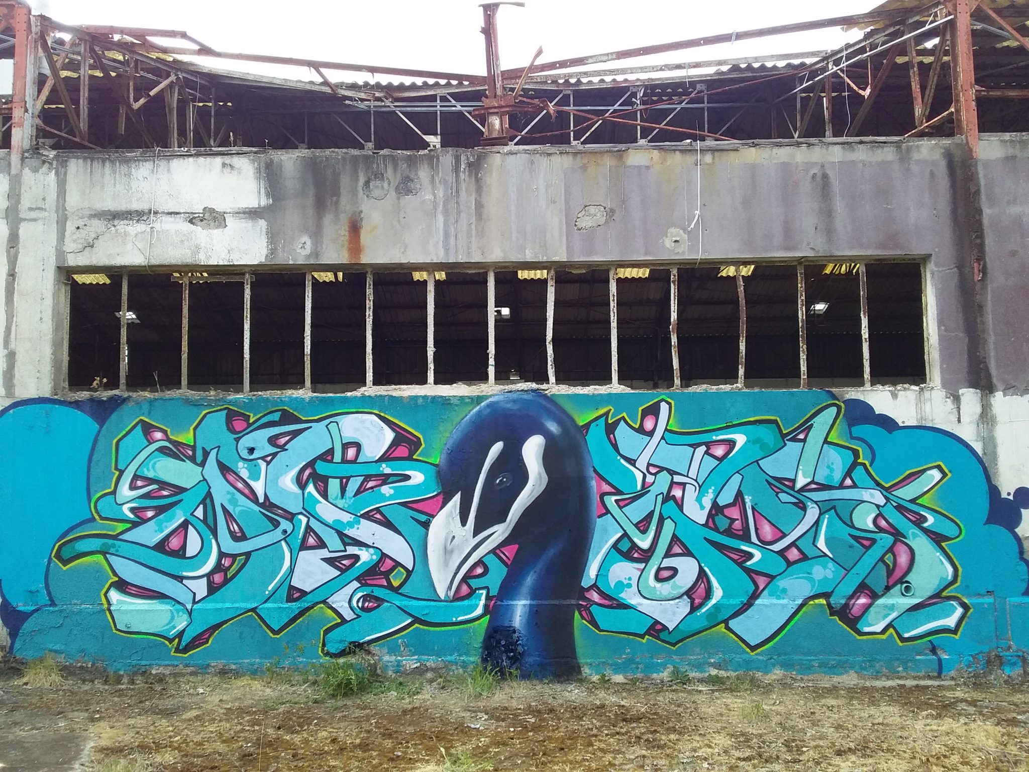 mur-5
