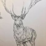 Le Cerf par Herbin Emma