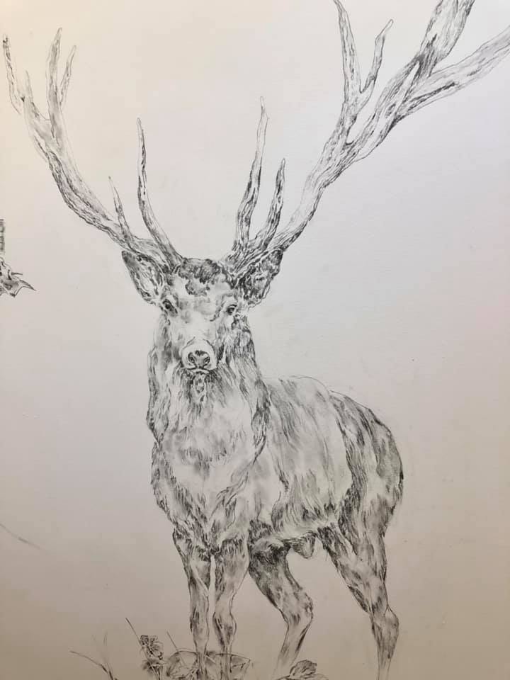 le-cerf-2