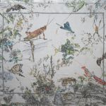Insects