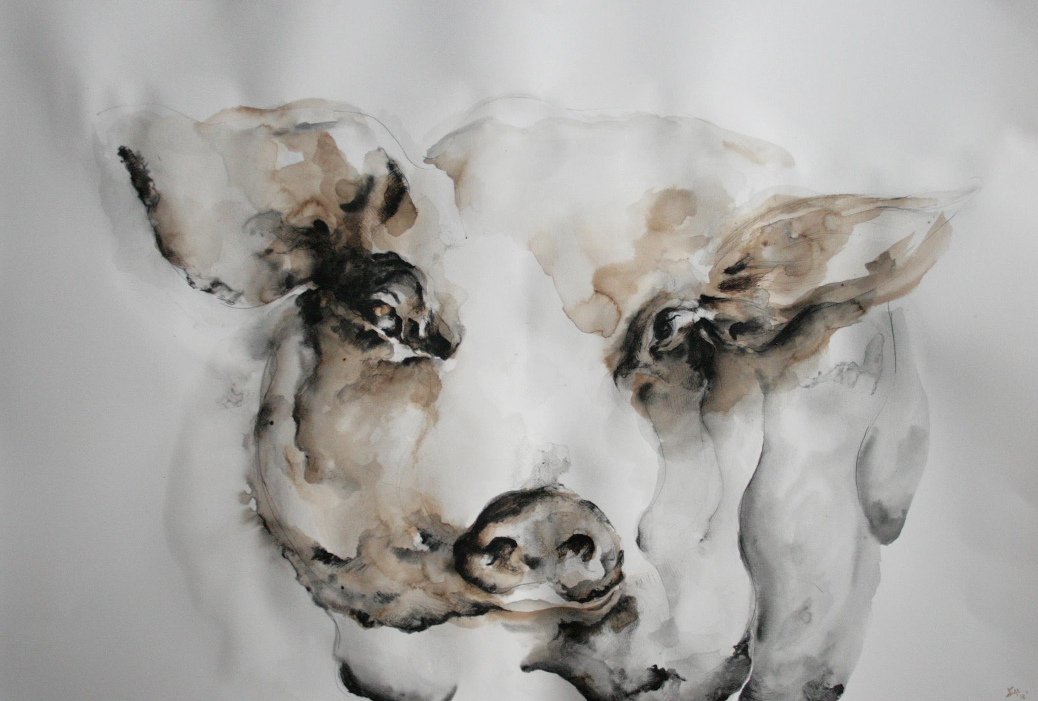 cochon