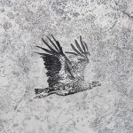 L aigle