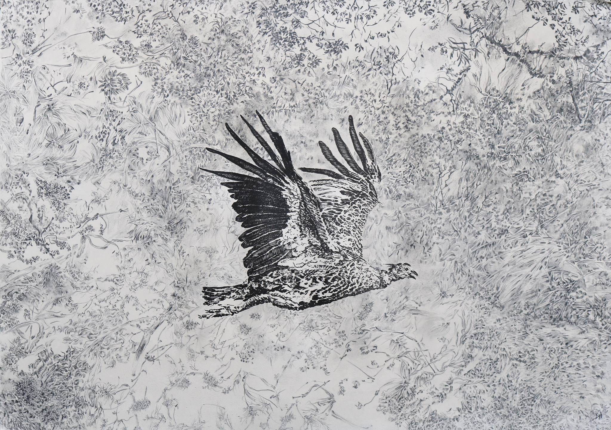 l-aigle