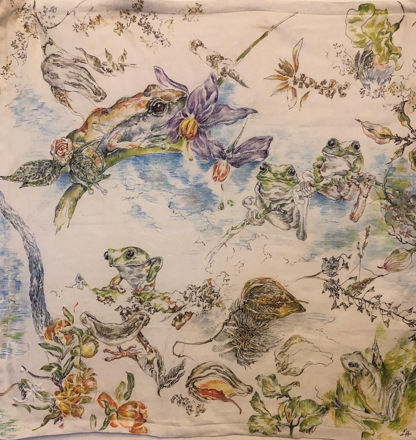 grenouilles