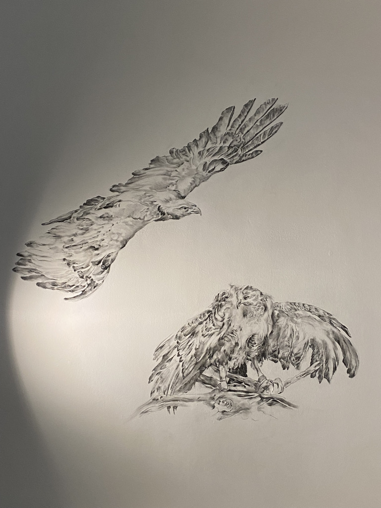 les-aigles