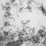Paysage imaginaire