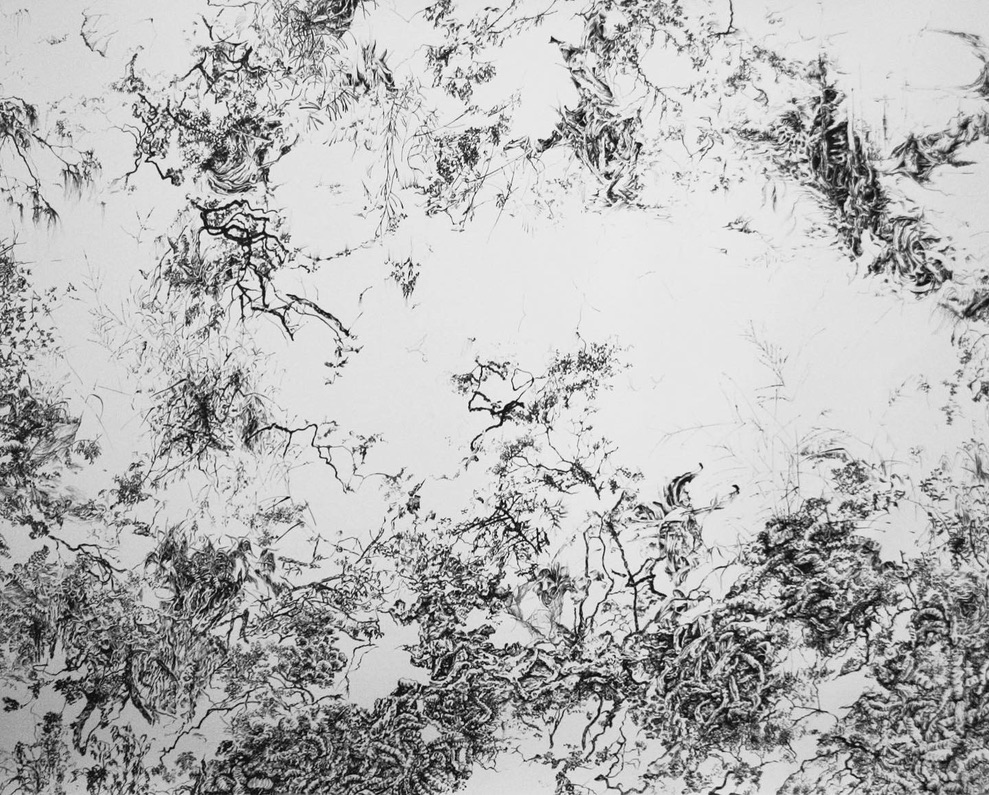 paysage-imaginaire