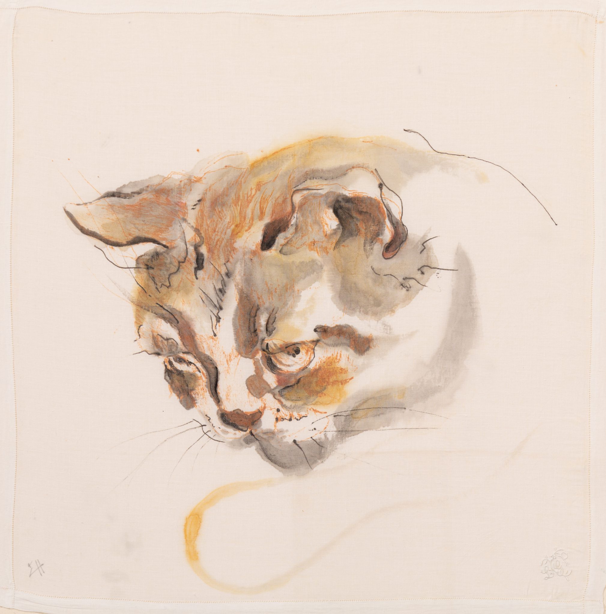 chat-7