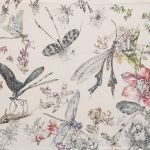Libellules