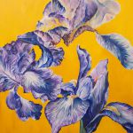Iris par Herbin Emma