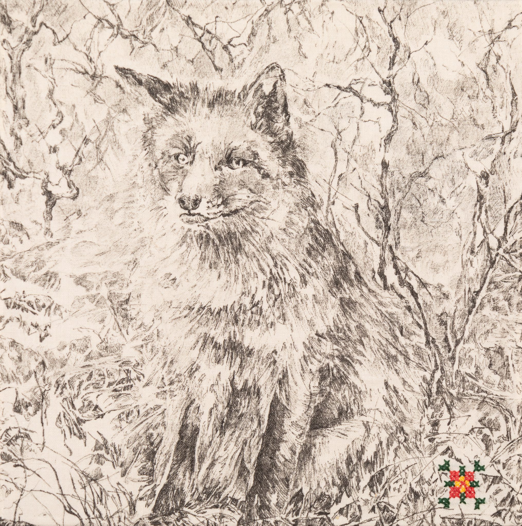 renard-5