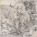 The highland vache par Herbin Emma