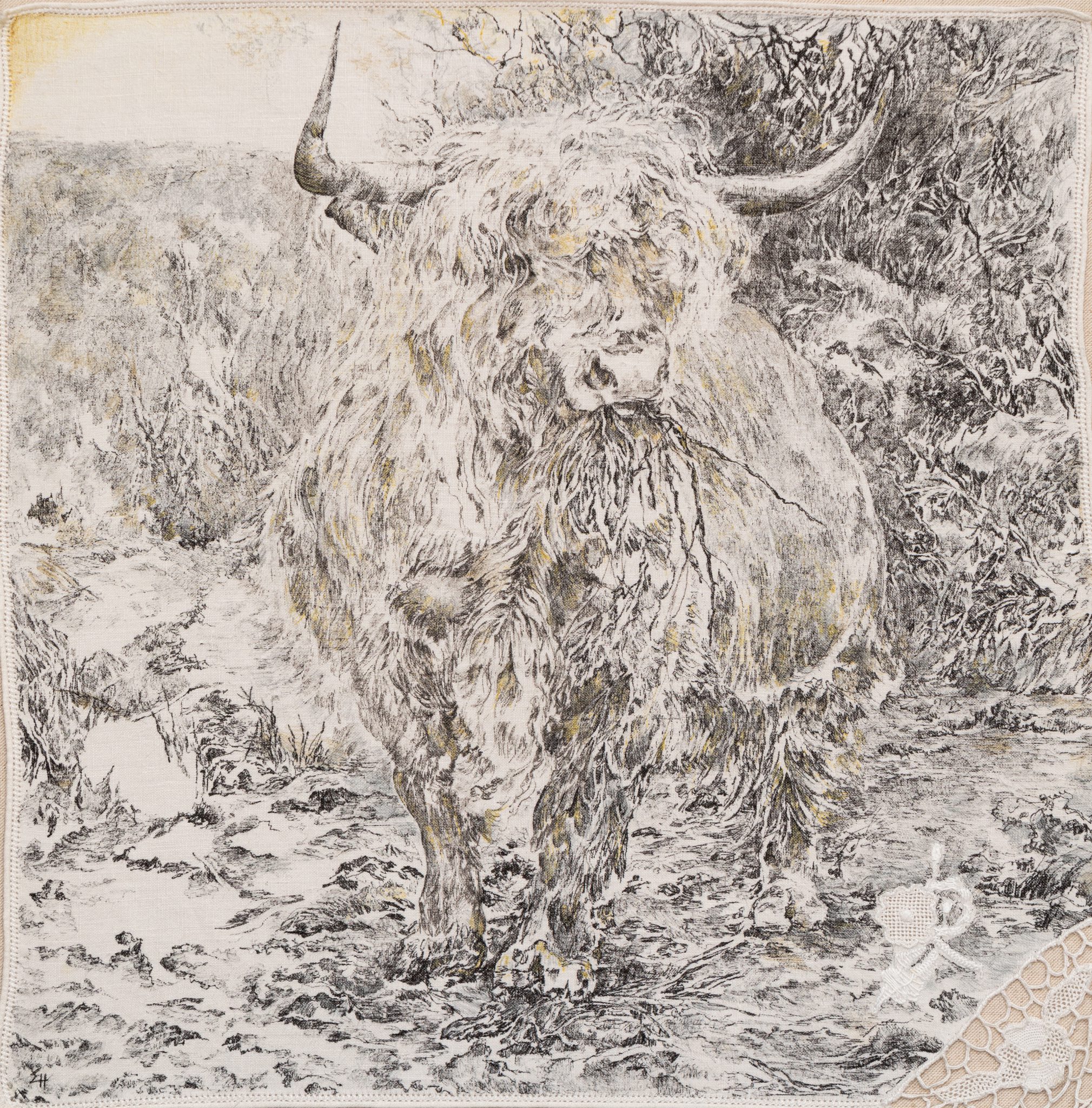 the-highland-vache