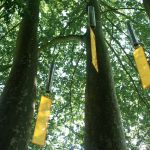 « PARCOURS SONORES - Objets sonores suspendus »