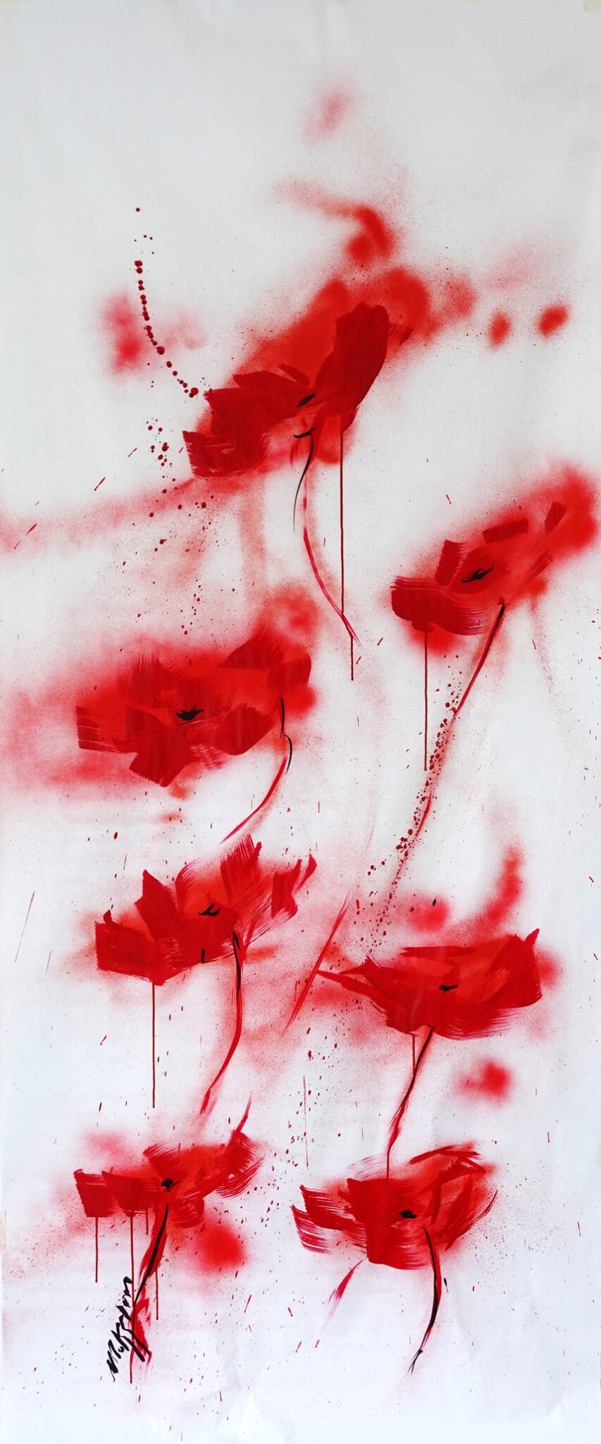 poppies-4