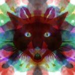 sebka_coul_6_ok_web