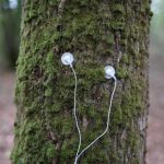 Discussion entre Arbres