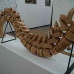 Spine