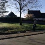 Bélane