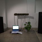 The sound of the tree