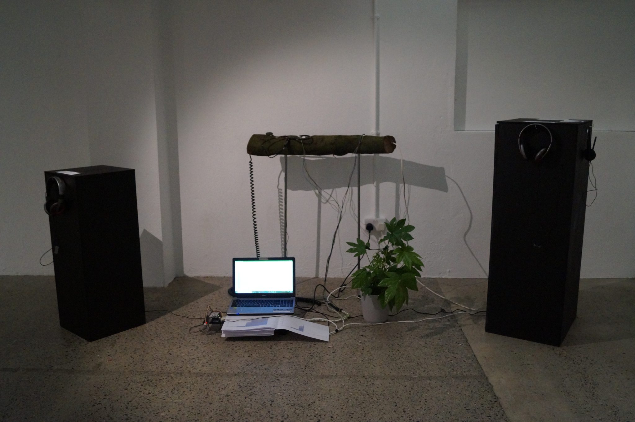 the-sound-of-the-tree