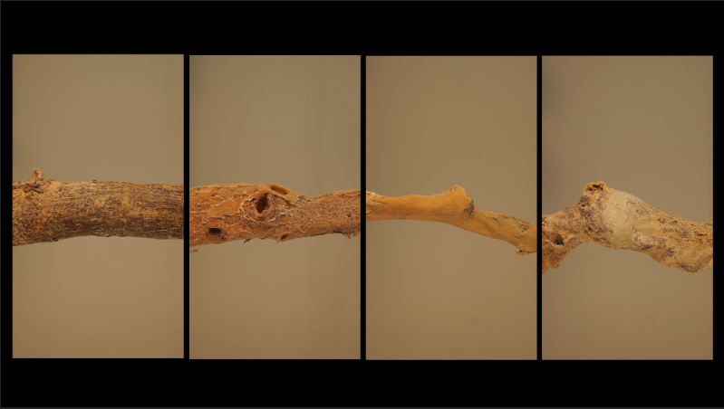 mouvement-4