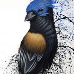 Blue head bird
