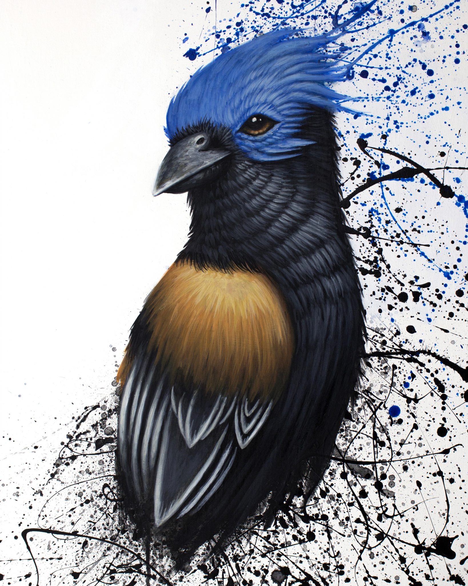 blue-head-bird