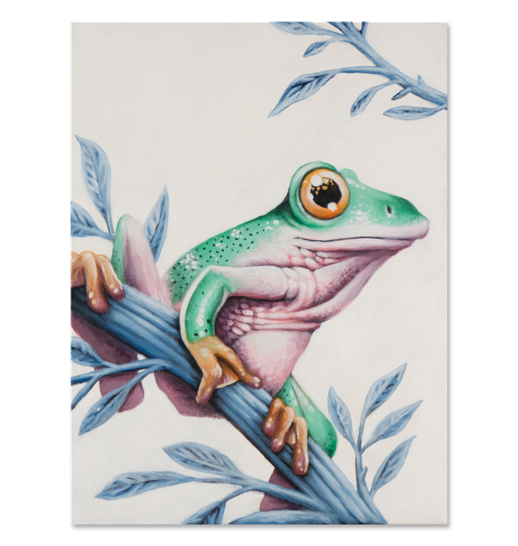 tropical-frog