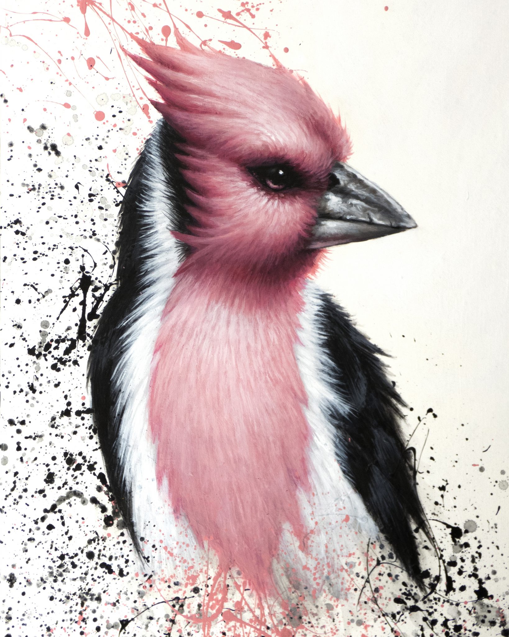 pink-bird-print