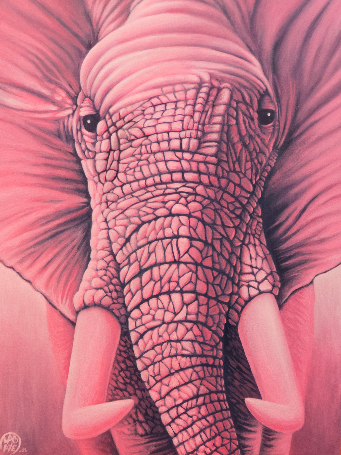 pink-elephant-net