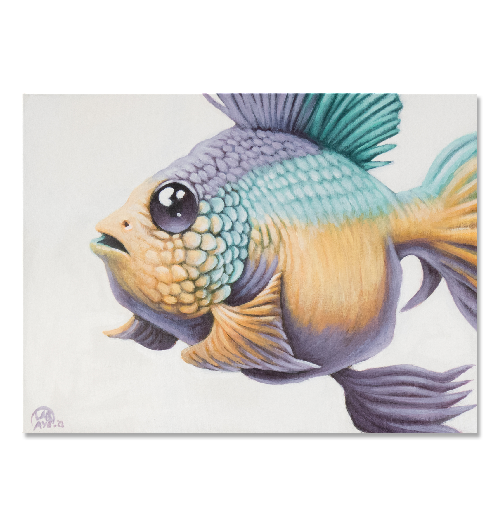rainbow-fish-insta