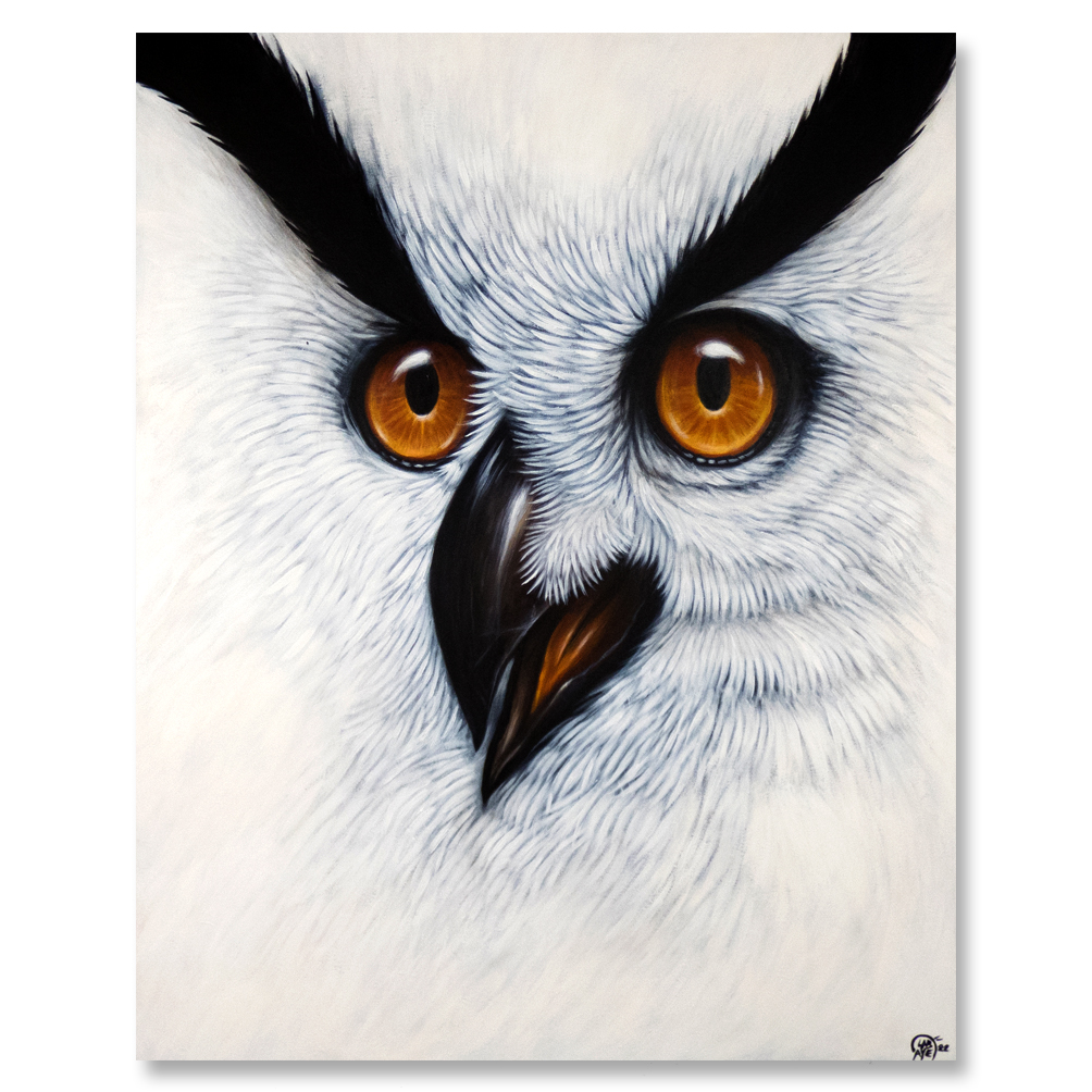 white-owl