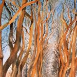 Allée des platanes par Sandrine Steibel