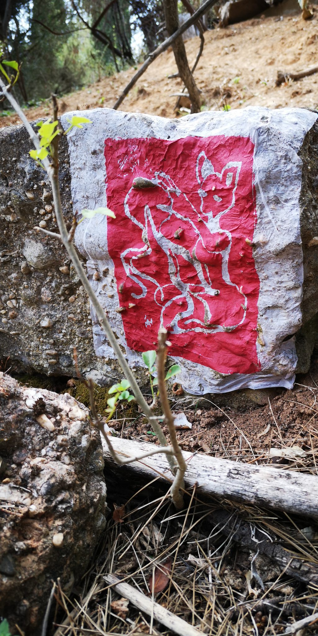 lithoregenerescence