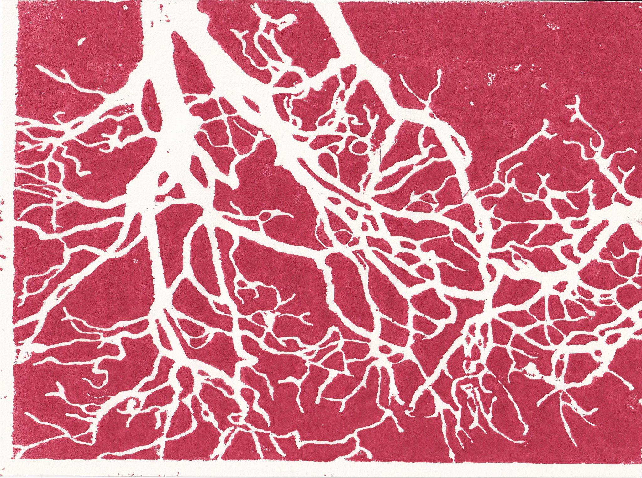 o-cartes-3