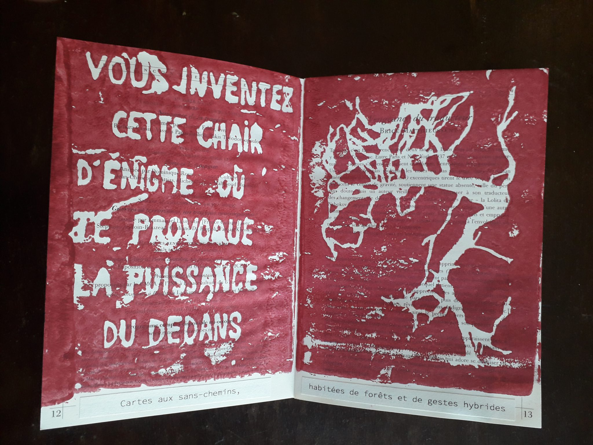livre-dartiste-4