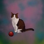Le chat et la balle rouge