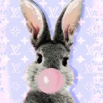 BUBBLE RABIT